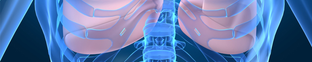 Virtual Tumor Board banner image of lungs